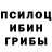 Галлюциногенные грибы Psilocybine cubensis Muhiddin Inogamov
