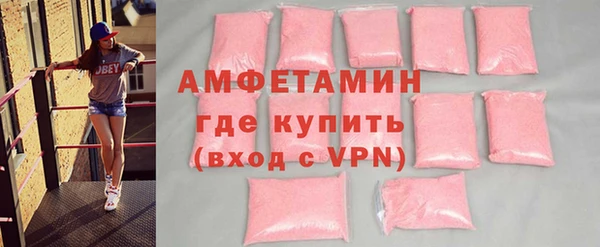 крисы Козельск