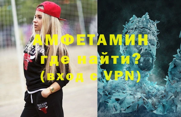 крисы Козельск