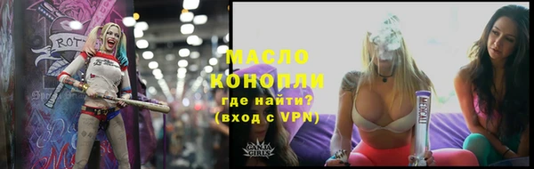 молекула духа Козловка