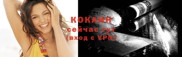 крисы Козельск