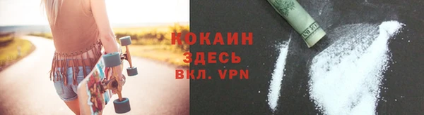 крисы Козельск