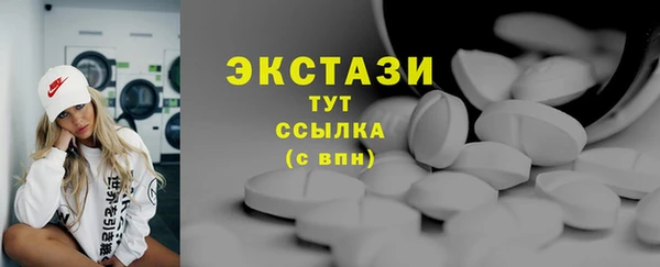 крисы Козельск