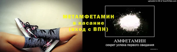 крисы Козельск