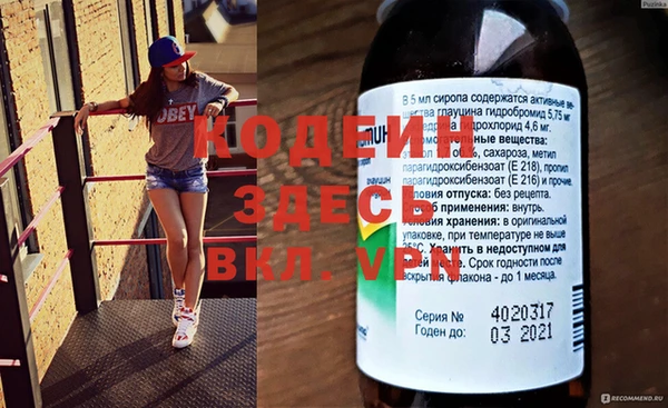 крисы Козельск