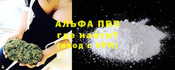 крисы Козельск