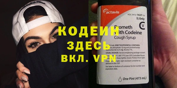 крисы Козельск