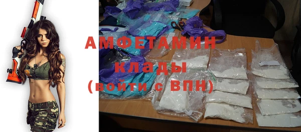 крисы Козельск