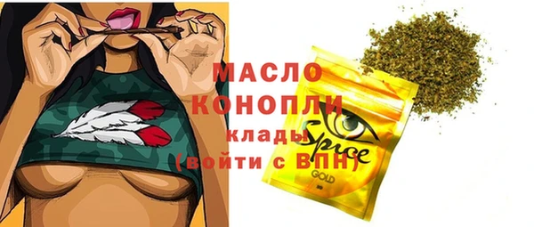 крисы Козельск