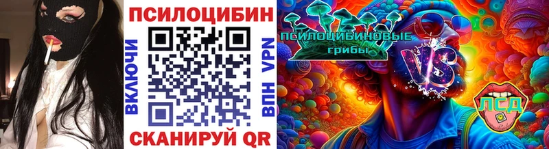 Галлюциногенные грибы Psilocybine cubensis  Купить закладки  Володарск 